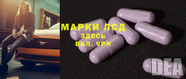 мет Касимов