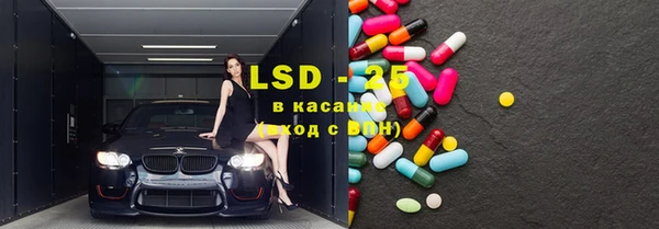 мет Касимов